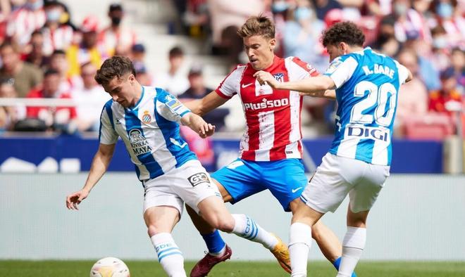 布伦特福德 布伦特福德