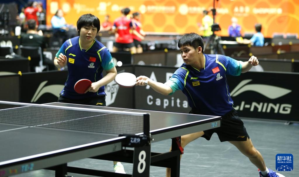 与沙拉维情 与沙拉维情