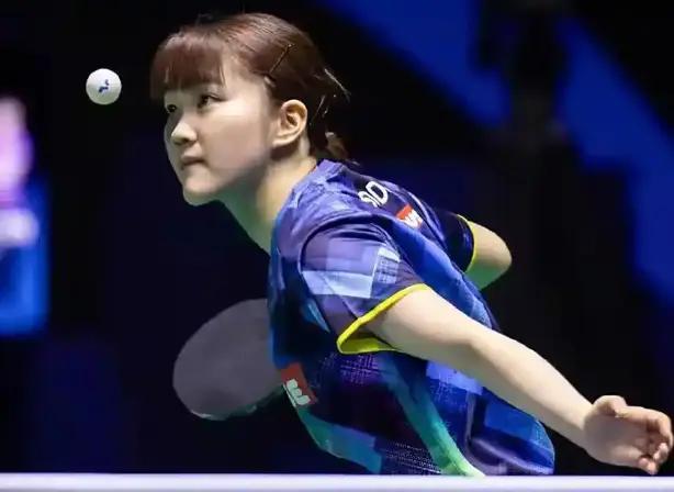 这一概念的 这一概念的