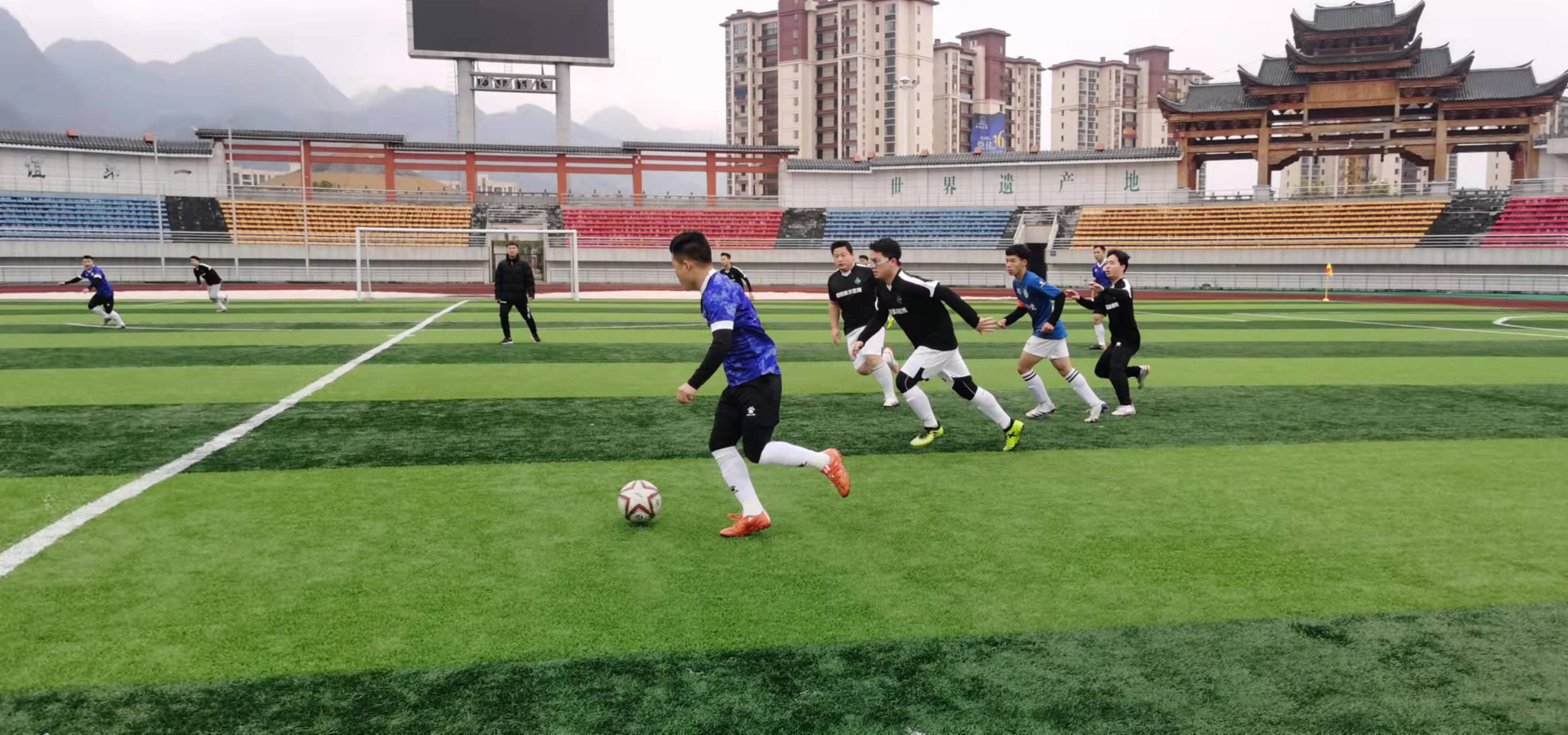 乐迪的指导 乐迪的指导