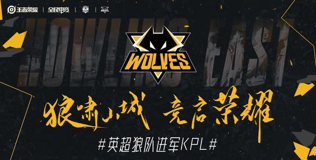 议中